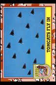 Desert Storm: Series 3 (Base Set) card 257