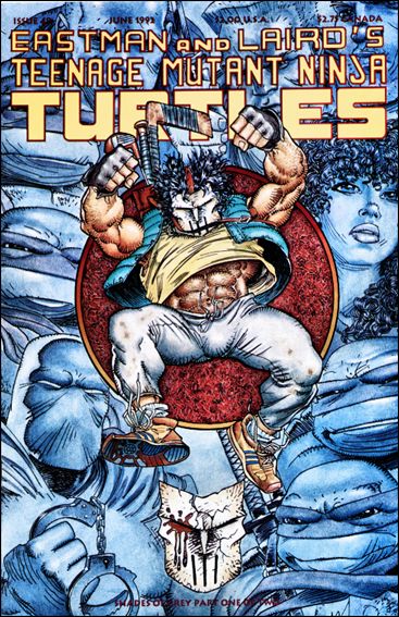 Teenage Mutant Ninja Turtles (1984) issue 48