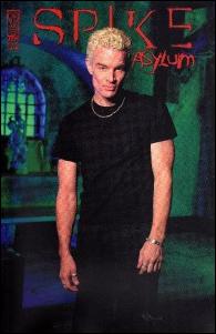 Spike: Asylum issue 4-C Photo Cover