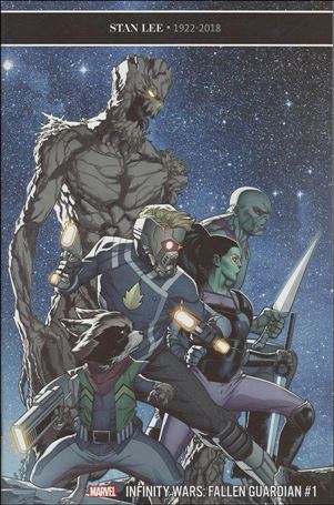 Infinity Wars: Fallen Guardian Cover Image 1