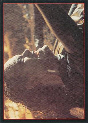 Crow: The Movie (Base Set) card 11 Happy Anniversary