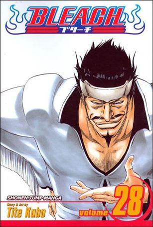Bleach issue 28