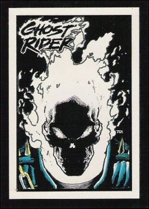Ghost Rider II (Glow-in-the-Dark Subset)  Cover Image 1