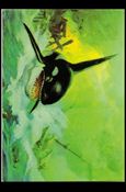 Frazetta II: The Legend Continues  (Base Set) card 43 Orca, Killer Whale