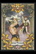 Battle Cards (Base Set) card 41 Sword Control!