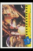 Teenage Mutant Ninja Turtles Movie (Base Set) card 110 Turtle Power!