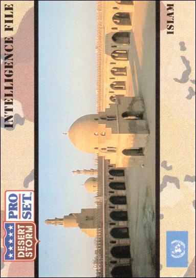 Desert Storm (Base Set) card 137