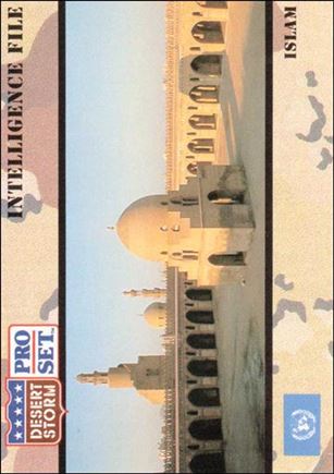 Desert Storm (Base Set) card 137