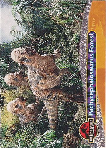 Lost World: Jurassic Park (Base Set) card 41 Pachycephalosaurus Forest