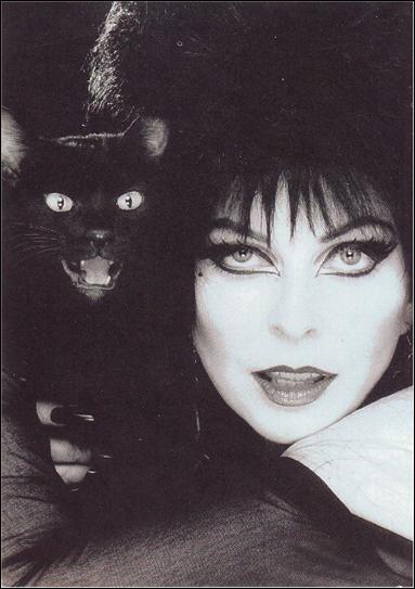 Elvira Mistress of the Dark (Base Set) card 13