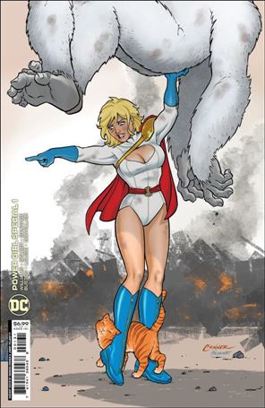 Power Girl Special issue 1-C Amanda Conner Cardstock Cover