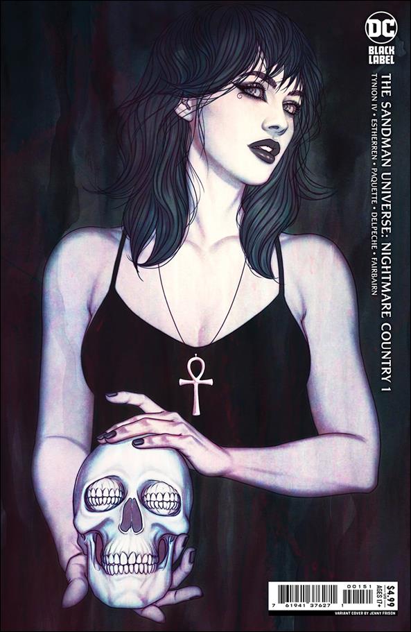 Sandman Universe: Nightmare Country issue 1-E Jenny Frison 1:100 Cardstock Cover