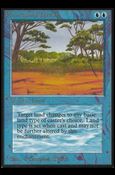Magic the Gathering: Limited Edition Alpha (Base Set) card 68 Phantasmal Terrain