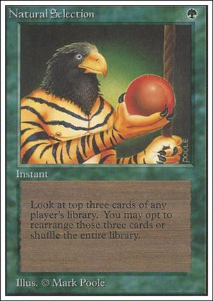 Magic the Gathering: Unlimited (Base Set) card 213 Natural Selection