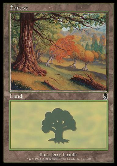 Magic the Gathering: Odyssey (Base Set) card 349 Forest