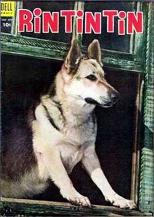 Rin Tin Tin issue 5