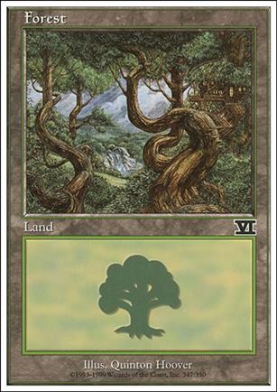 Magic the Gathering: 6th Edition (Base Set) card 347 Forest