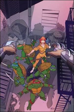 Teenage Mutant Ninja Turtles: Saturday Morning Adventures Continued issue 9-D Tim Levins 1:25 Virgin Cover