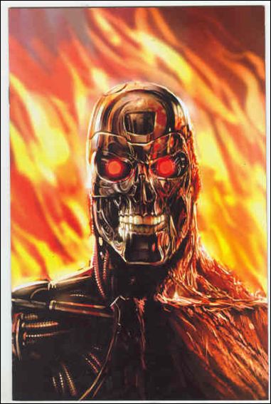 Terminator 2: Infinity issue 1-D Stjepan Sejic 1:15 Virgin Cover