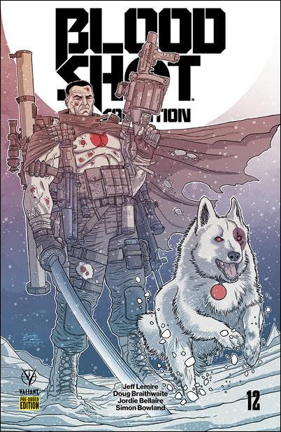 Bloodshot Salvation issue 12-D Pre-Order Edition