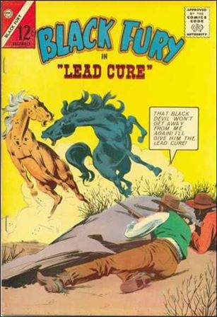 Black Fury issue 45