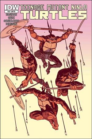 Teenage Mutant Ninja Turtles (2011) issue 38-C Brahm Revel 1:10 Cover