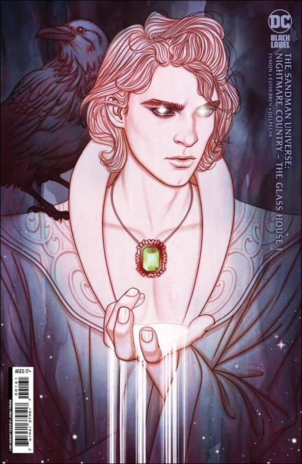 Sandman Universe: Nightmare Country - The Glass House issue 1-E Jenny Frison 1:100 Cardstock Cover