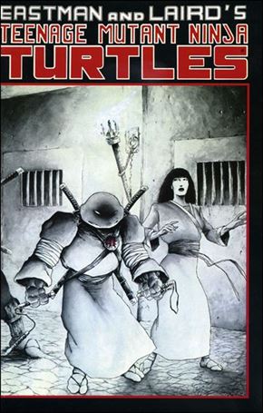 Teenage Mutant Ninja Turtles (1984) issue 17