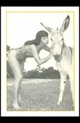Bunny Yeager's Bettie Page (Base Set) card 35