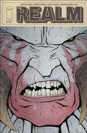 Realm (2017) issue 14-B Matthew Allison Cover