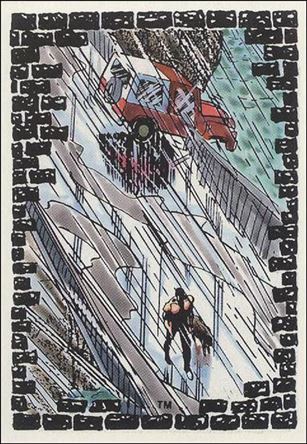 Punisher: The Whole Tough Tale (Base Set) Cover Image 2