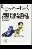 Potential issue 5