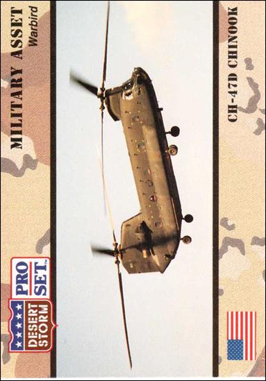 Desert Storm (Base Set) card 245