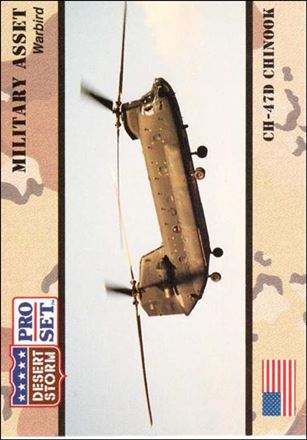 Desert Storm (Base Set) card 245