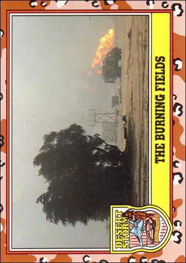Desert Storm: Series 3 (Base Set) card 235