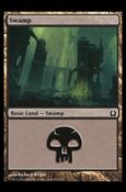 Magic the Gathering: Return to Ravnica (Base Set) card 263 Swamp