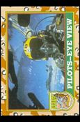 Desert Storm: Series 1 (Base Set) card 24 Pilots-Eye View