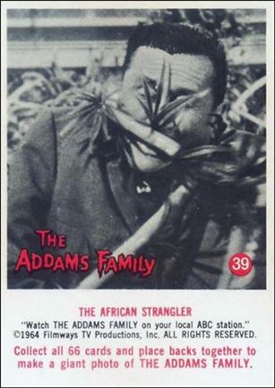 Addams Family (Base Set) card 39 The African Strangler.