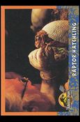 Jurassic Park (Base Set) card 27 Raptor Hatchling