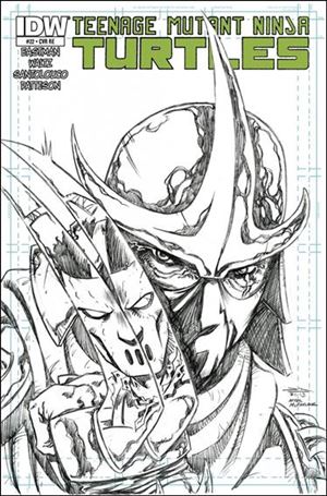 Teenage Mutant Ninja Turtles (2011) issue 22-E Rich Woodall Sketch Cover 1/500