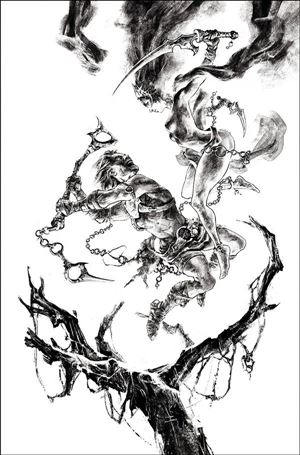 Dejah Thoris Versus John Carter issue 5-F Max Fiumara 1:7 Black & White Virgin Cover
