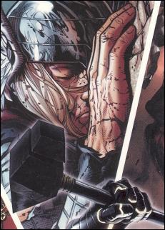Marvel Universe 2011 (Promo) card SD6