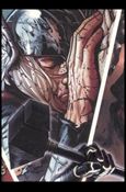 Marvel Universe 2011 (Promo) card SD6