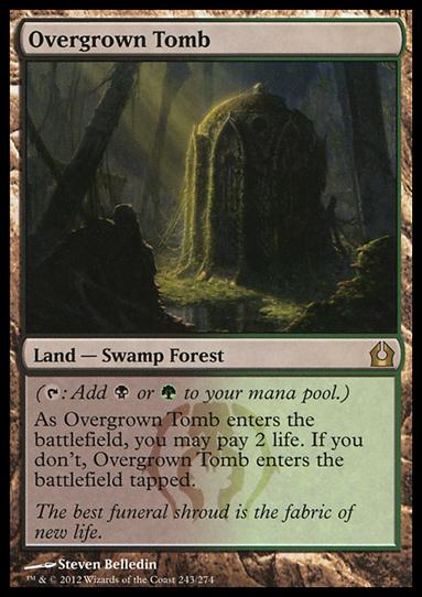 Magic the Gathering: Return to Ravnica (Base Set) card 243 Overgrown Tomb