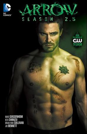 Arrow: Season 2.5  Cover Image 1