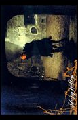 Sleepy Hollow (Movie) (Base Set) card 18 True or False Phantom?