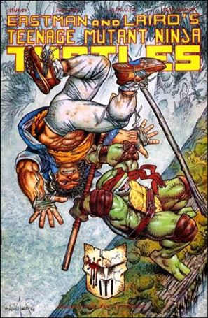 Teenage Mutant Ninja Turtles (1984) issue 49