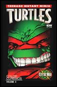 Teenage Mutant Ninja Turtles Color Classics Vol. 03 issue 11