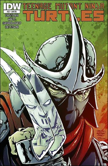 Teenage Mutant Ninja Turtles (2011) issue 22-F Rich Woodall Virgin Cover 1/250