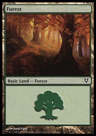 Magic the Gathering: Avacyn Restored (Base Set) card 243 Forest